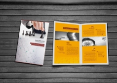 PBC-Brochure Design